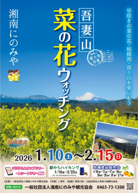 吾妻山菜の花ウォッチング